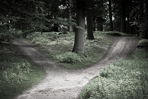 SDN Solutions for vCloud Suite 6